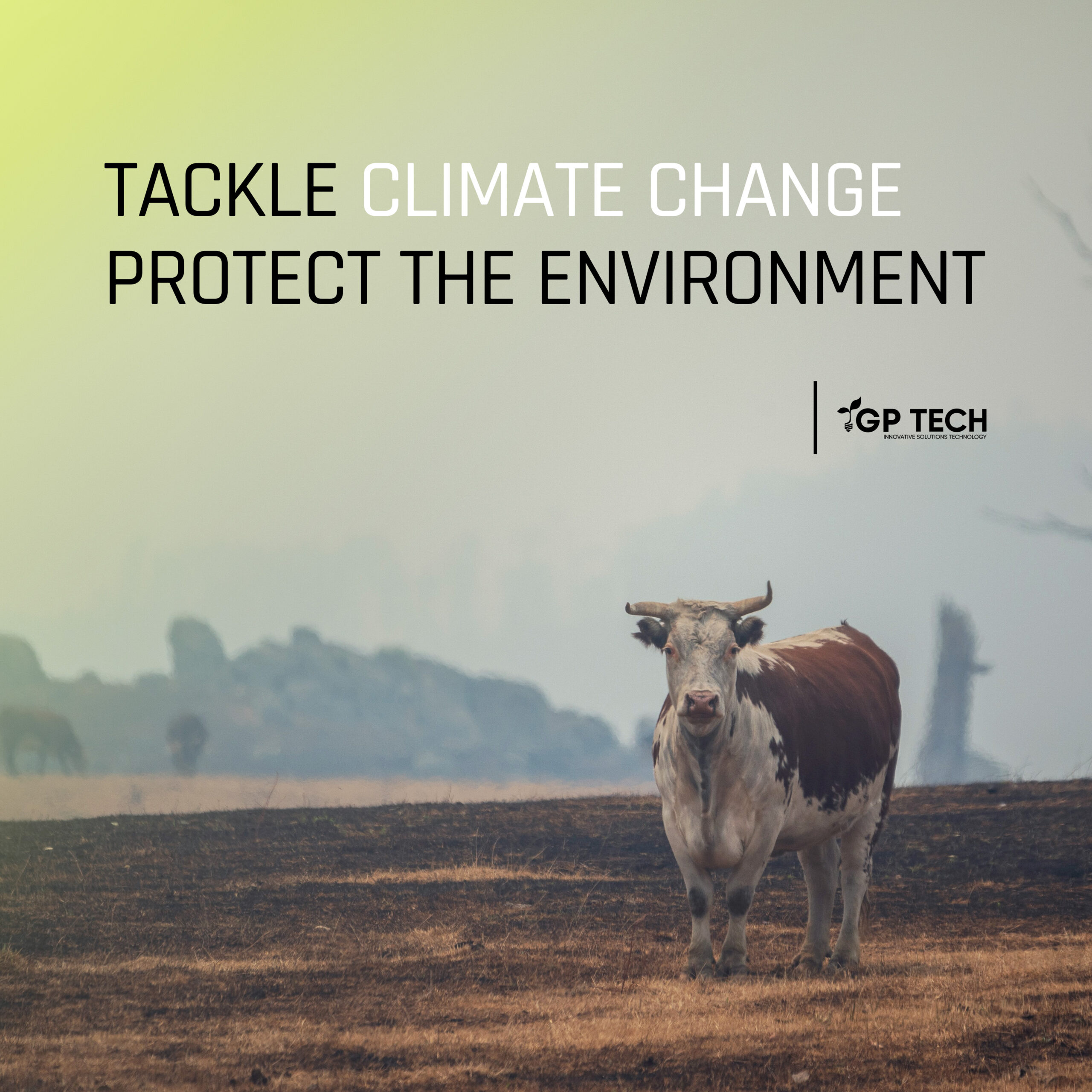 Tackle climate change