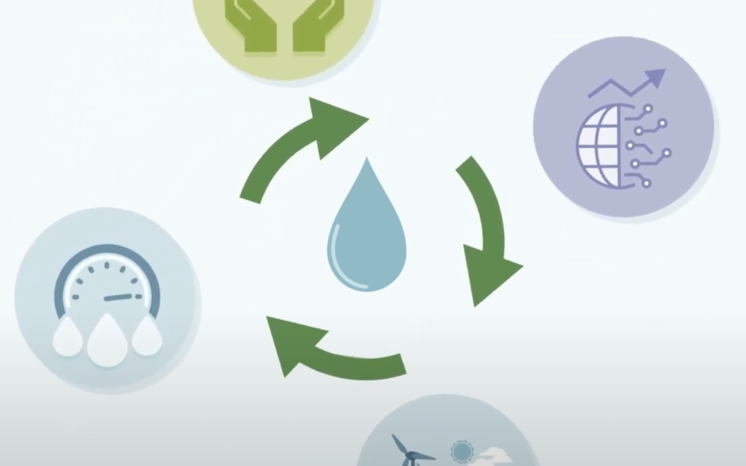 Rethinking water through the lens of circular economy