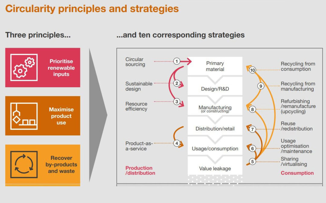 Circularity principles and strategies