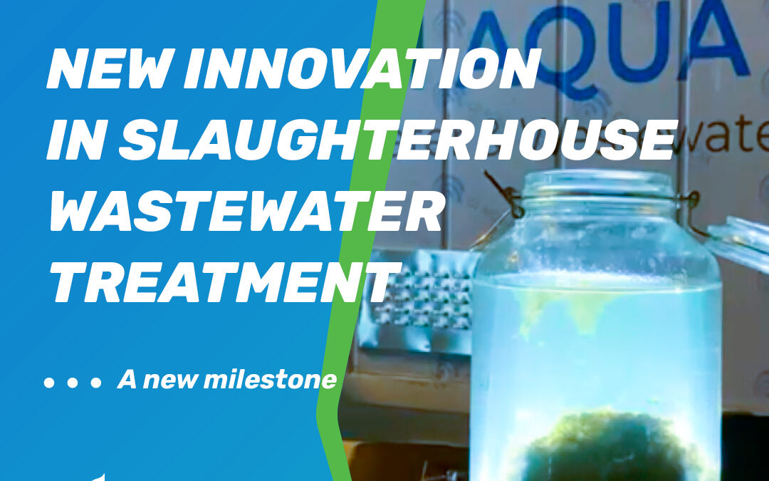 New innovation in Slaughterhouse WWT