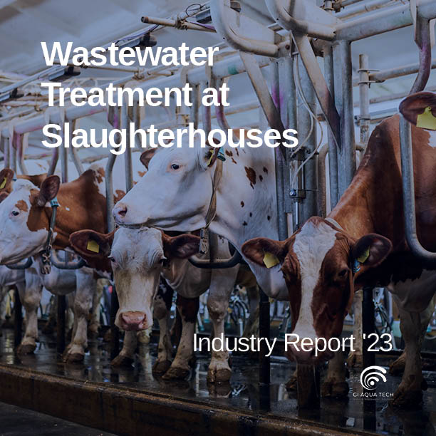 New Report: Addressing Slaughterhouse Wastewater Management Challenges